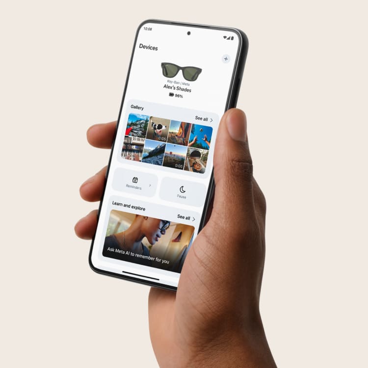 Ray-Ban Meta companion app