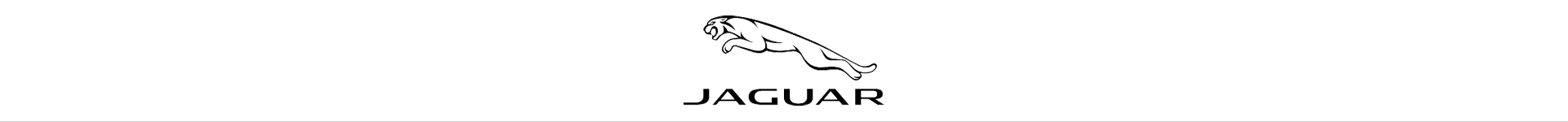 Shop Jaguar Sunglasses