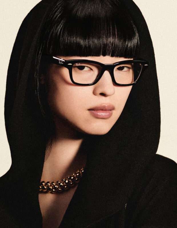 Ray-Ban and Oakley Meta AI Glasses